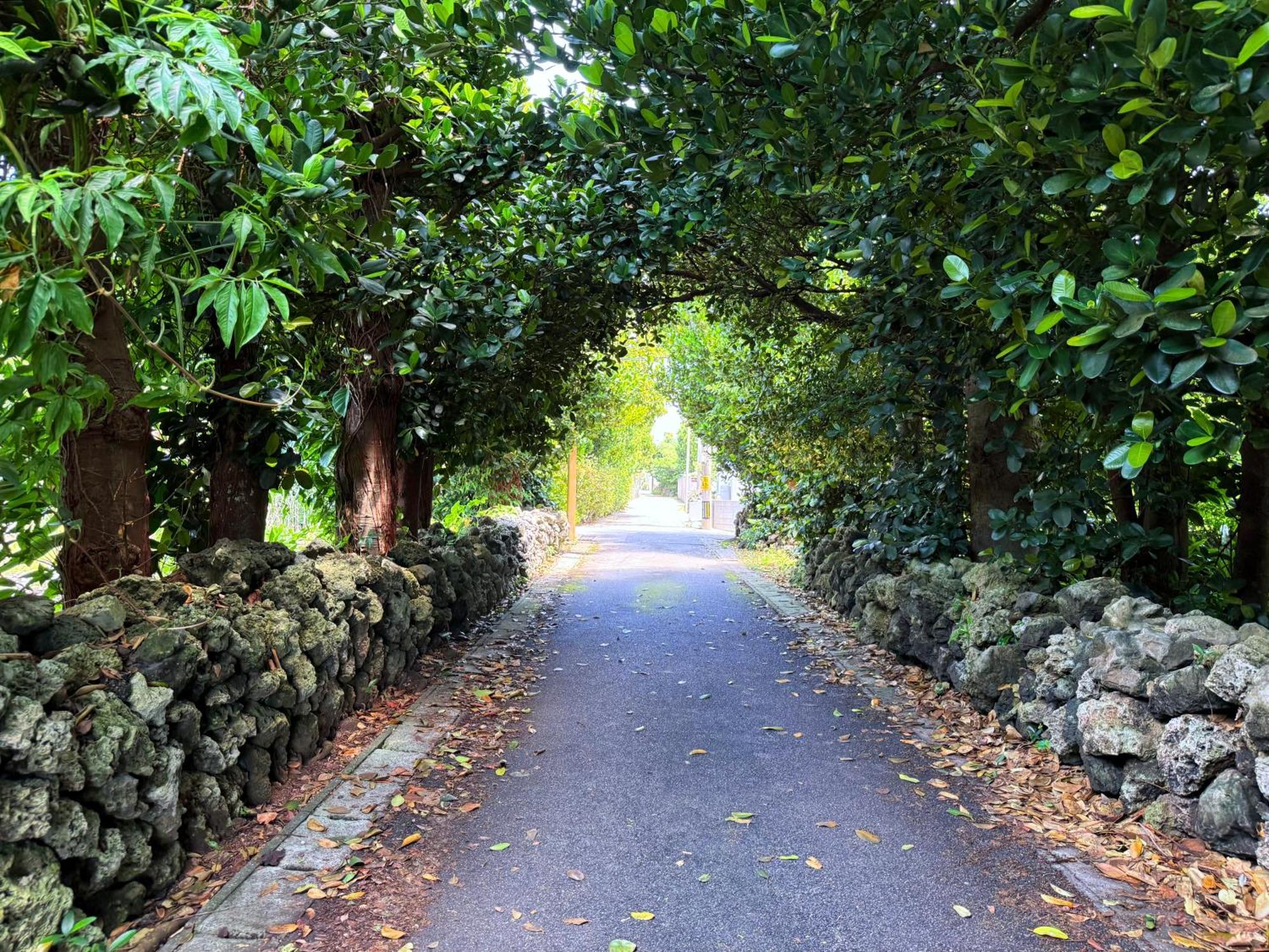 星降る夜と天然木の香りに包まれる新築癒しの隠れ家ishigaki Villa En えん Luaran gambar